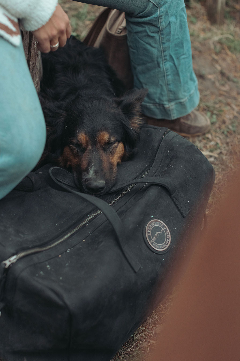 A black dog rests on a large black leather duffel bag outdoors, with a person's legs and hands visible around it. The duffel bag has the Everwest logo badge on the side.