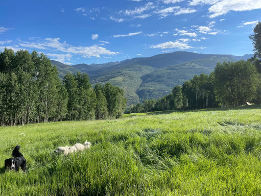 EVERWEST DEVOTIONAL #14 | Everlasting Peace