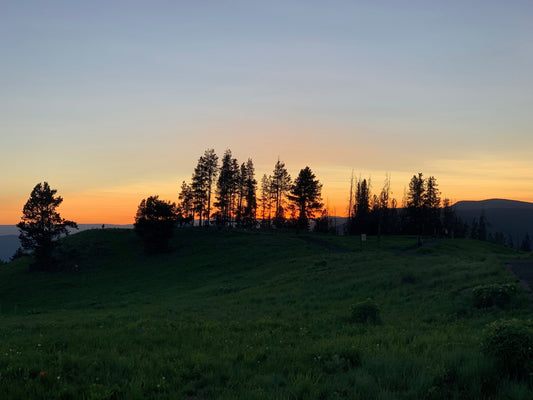 EVERWEST DEVOTIONAL #13 | Bearing Fruit